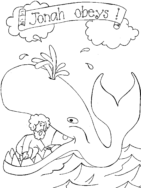 and the whale coloring pages free printable coloring pages for kids title=