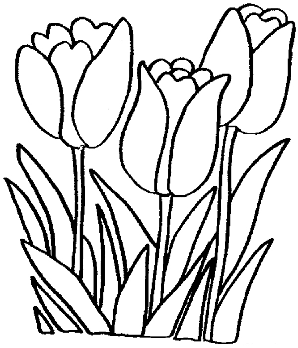 fae coloring pages - photo #17